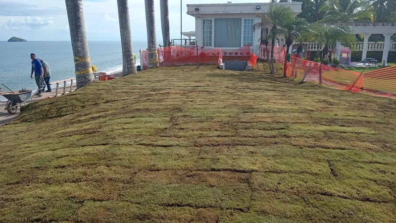 Foto 4 de Muro Rompeolas Familia Harari